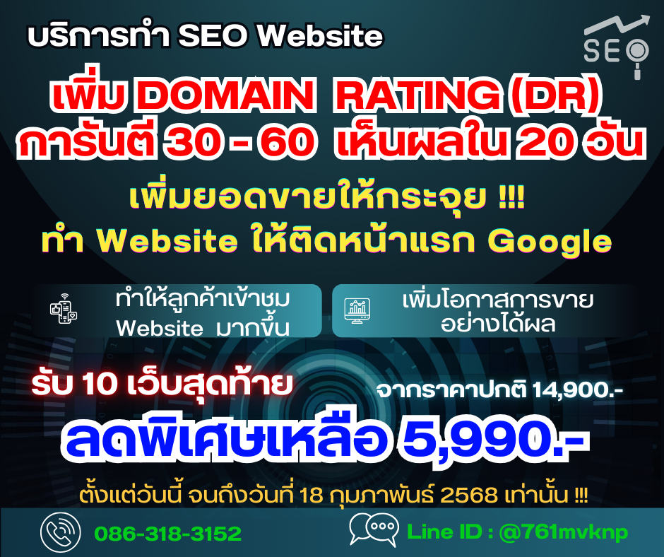 บริการรับทำ SEO Website : เพิ่มคะแนน Domain Rating DR