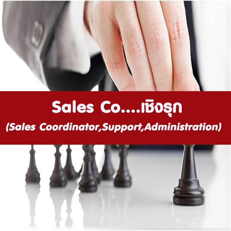 Proactive Sales Coordinator / Sales Support / Sales Administration: เคล็ดลับสู่ความเป็นเลิศ