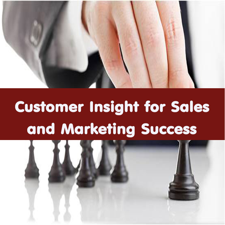 พฤติกรรมผู้บริโภค  Customer Insight: การขายและการตลาด